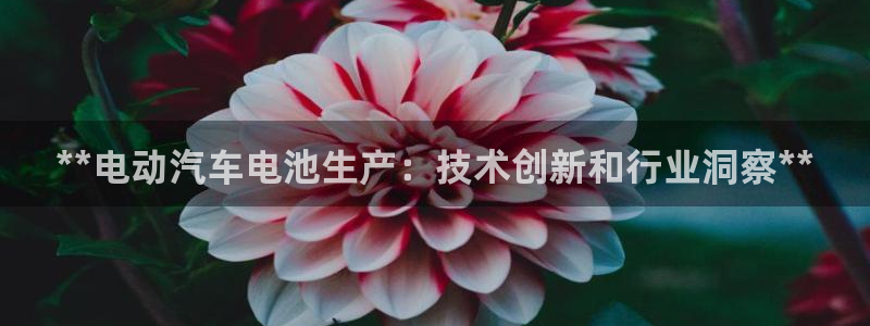 优发国际是合法的吗安全吗