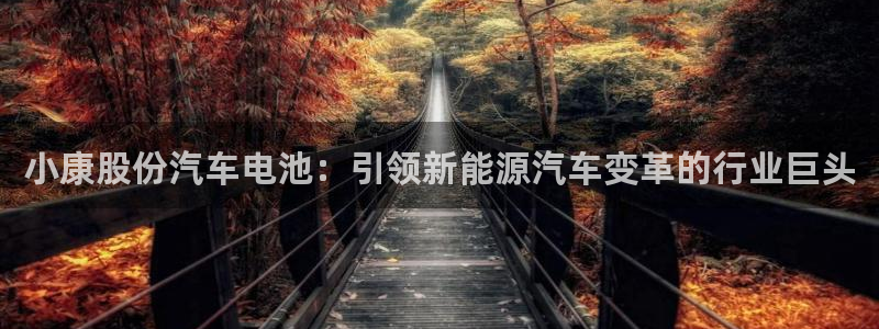 优发国际平台APP