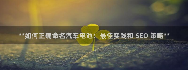 优发国际youfa966