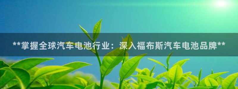 优发国际娱乐官网多少?