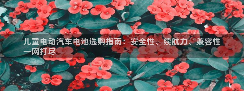 优发国际手机app下载安装官网