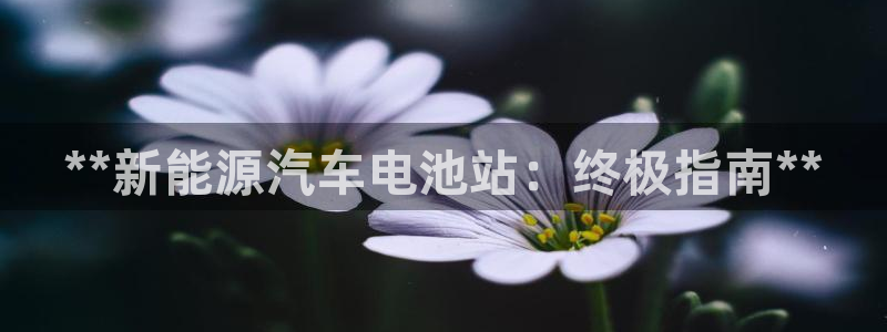优发国际平台18