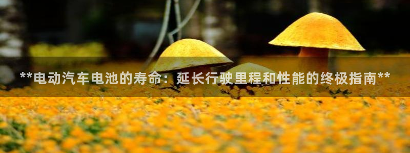 优发国际官网登陆