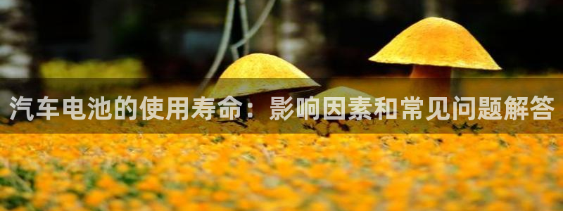 优发国际集团股份有限公司是国企吗