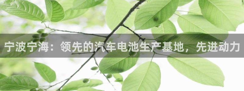 优发国际官网手机版下载
