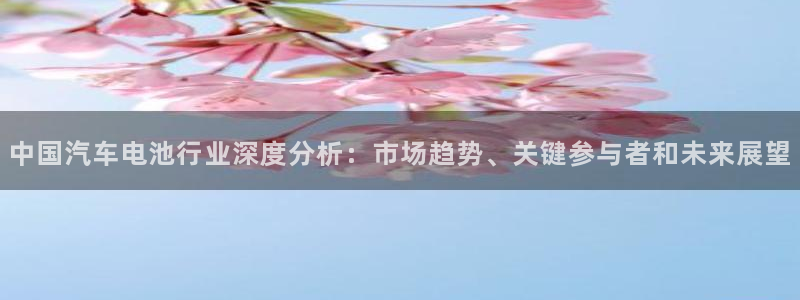 优发国际网官网17w8