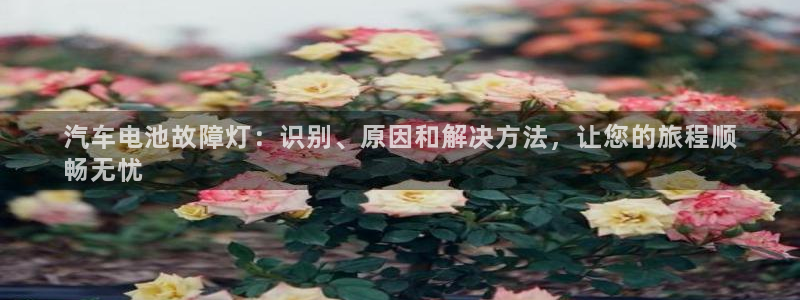优发国际官方网