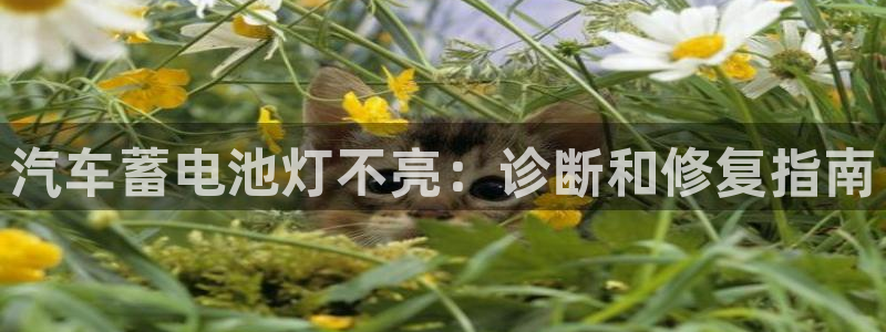 优发国际手机版网站下载