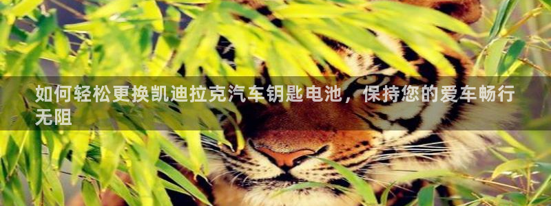 优发国际官网手机版下载安装