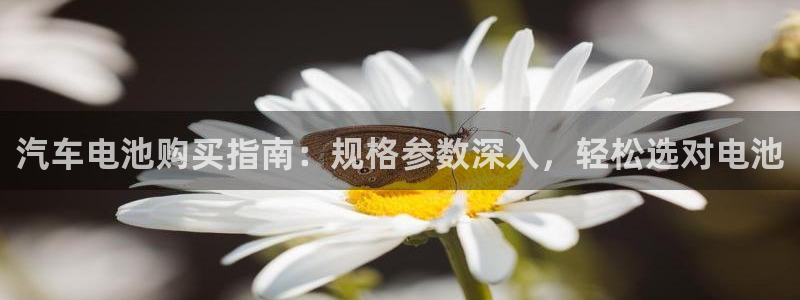 优发国际是什么