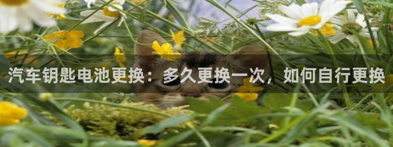 优发国际合并到哪里了