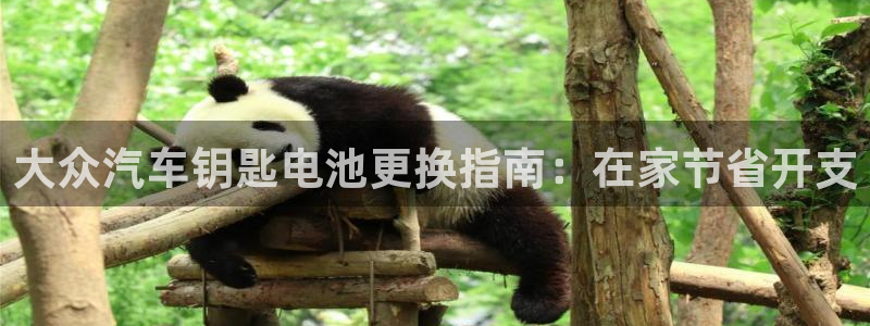 优发国际集团股份有限公司是国企吗