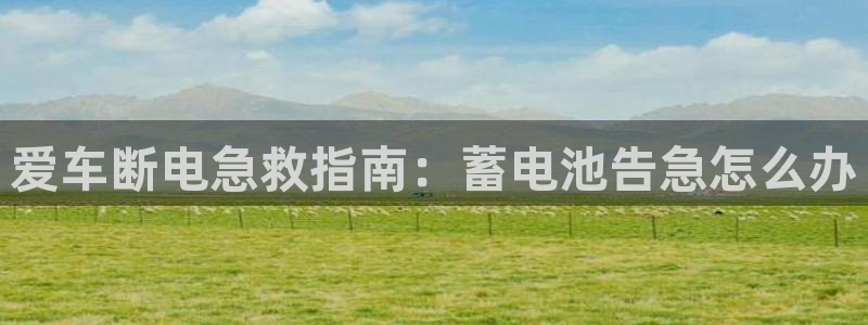 优发国际客服联系方式是什么