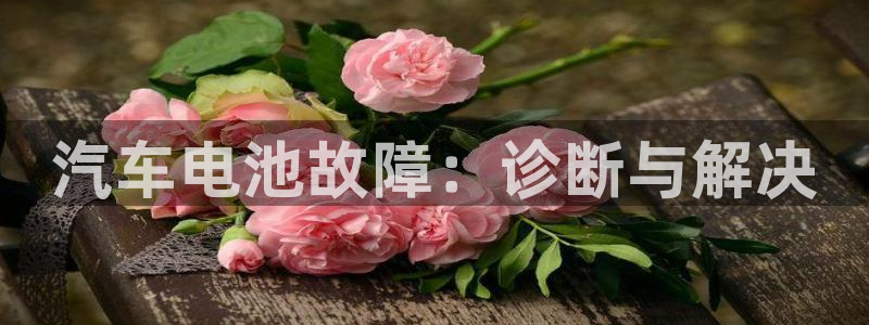 优发国际是大平台吗