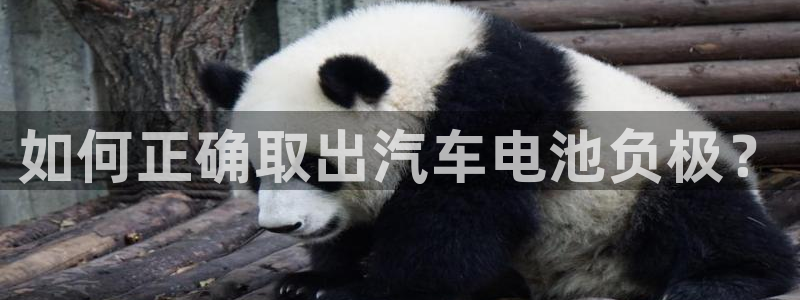 优发国际是合法的吗安全吗