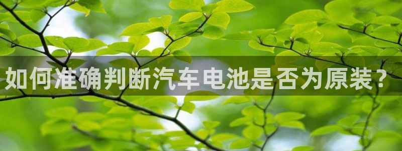 优发国际是不是黑网