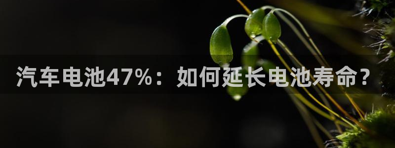 优发国际平台g8怎么样