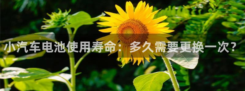 优发国际手机版客户端官网
