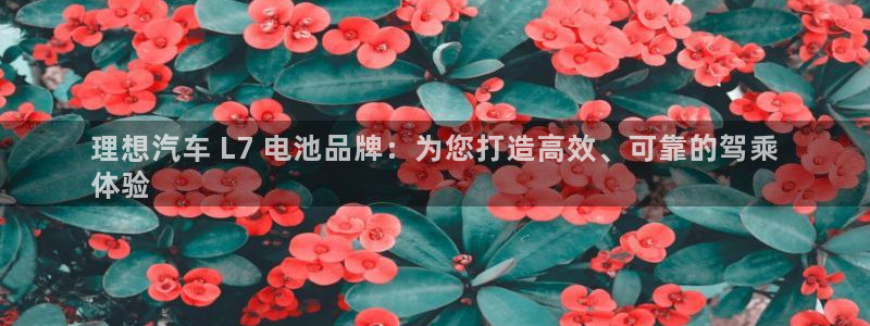 优发国际官方网手机版入口