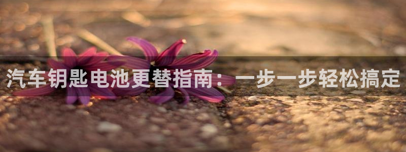 优发国际是大平台吗是真的吗