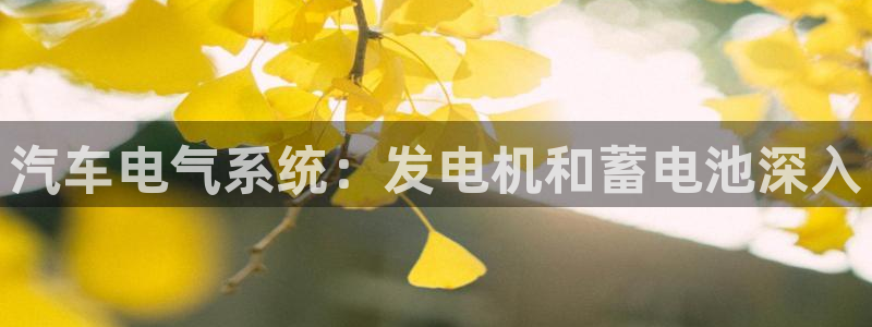 优发国际平台u8