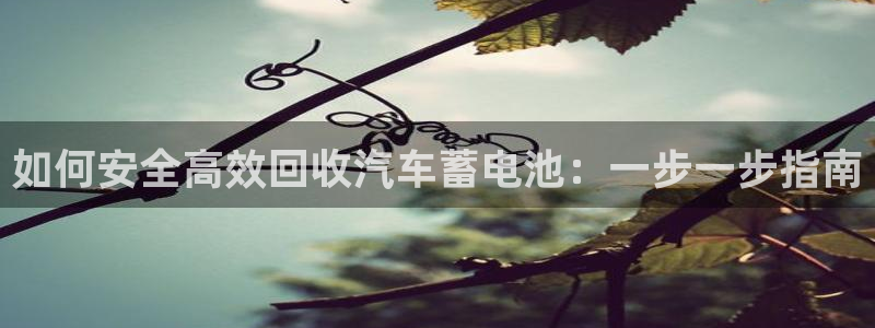 优发国际官网手机号