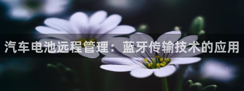 优发国际是大平台吗知乎