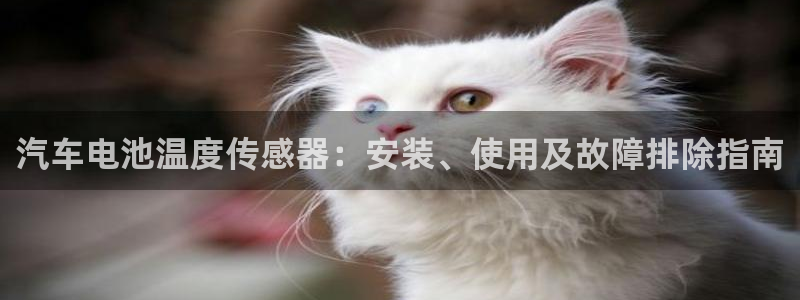 优发国际官方网平台