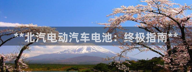 优发国际网站