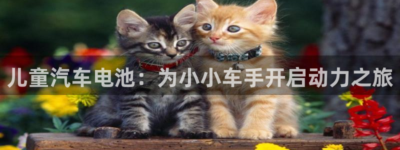 优发国际官网入口app下载
