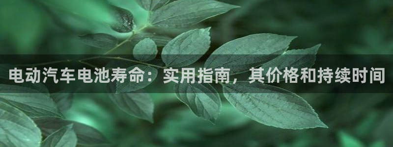 优发国际官方网