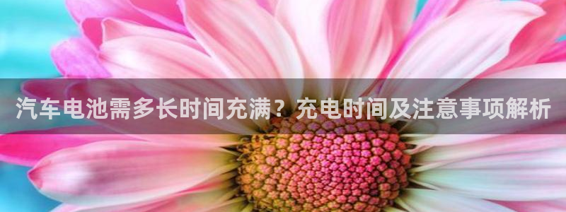 优发国际集团股份有限公司官网