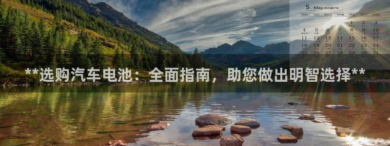优发国际平台18岁能做吗：**选购汽车电池：全面指南，助您做出明智选择**