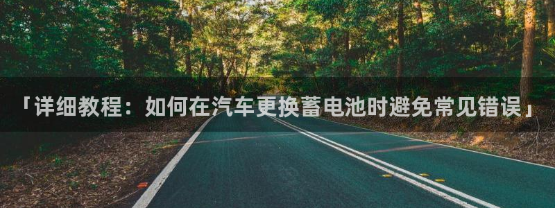 优发国际网站178：「详细教程：如何在汽车更换蓄电池时避免常见错误」