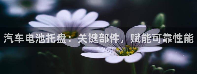 优发国际官网网站首页