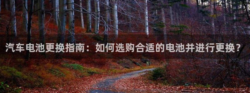 优发国际官网手机版app：汽车电池更换指南：如何选购合适的电池并进行更换？