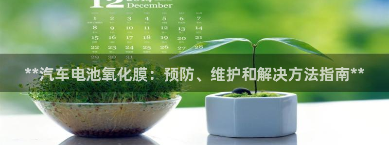 优发国际app官网下载安装手机版：**汽车电池氧化膜：预防、维护和解决方法指南**