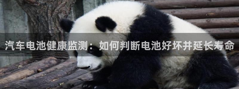 优发国际VIP网址