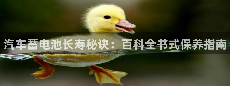 优发国际平台手机版下载安装：汽车蓄电池长寿秘诀：百科全书式保养指南