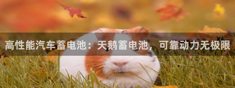 优发国际手机版：高性能汽车蓄电池：天鹅蓄电池，可靠动力无极限