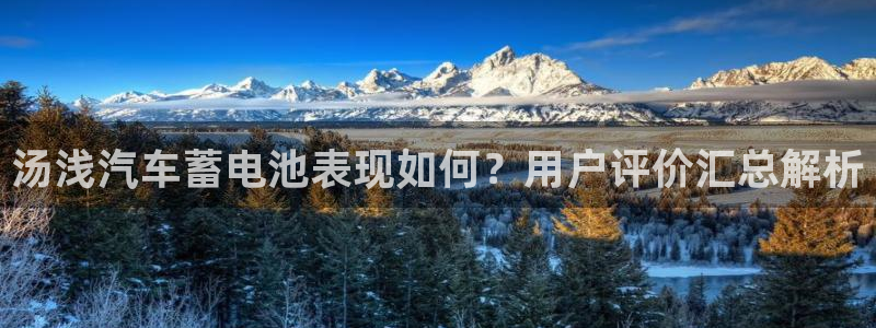 优发国际手机app下载安装官网：汤浅汽车蓄电池表现如何？用户评价汇总解析