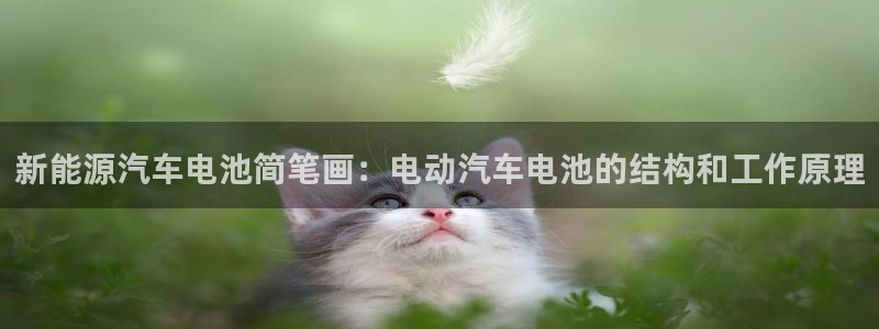 优发国际安卓版下载安装：新能源汽车电池简笔画：电动汽车电池的结构和工作原理