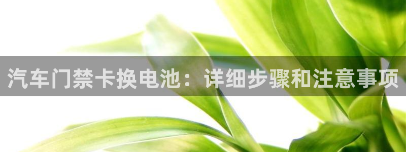 优发国际可以玩吗：汽车门禁卡换电池：详细步骤和注意事项