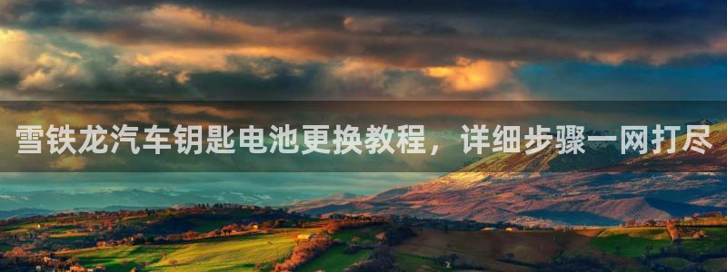 优发国际平台g8怎么样：雪铁龙汽车钥匙电池更换教程，详细步骤一网打尽