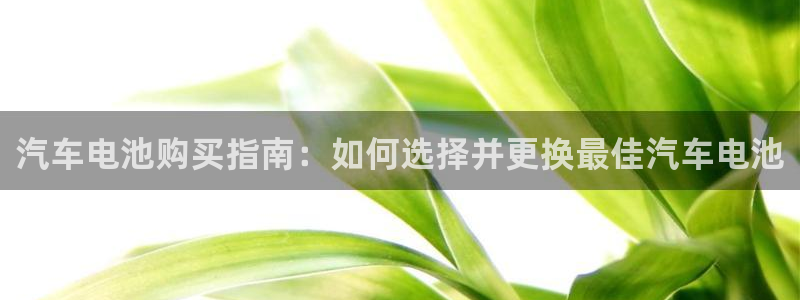 优发国际手机版网站下载：汽车电池购买指南：如何选择并更换最佳汽车电池