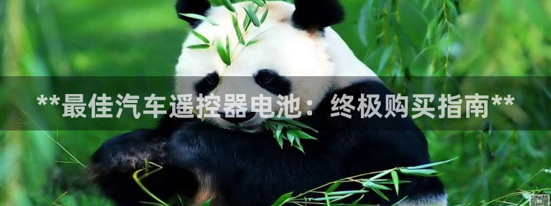 优发国际VIP网址：**最佳汽车遥控器电池：终极购买指南**