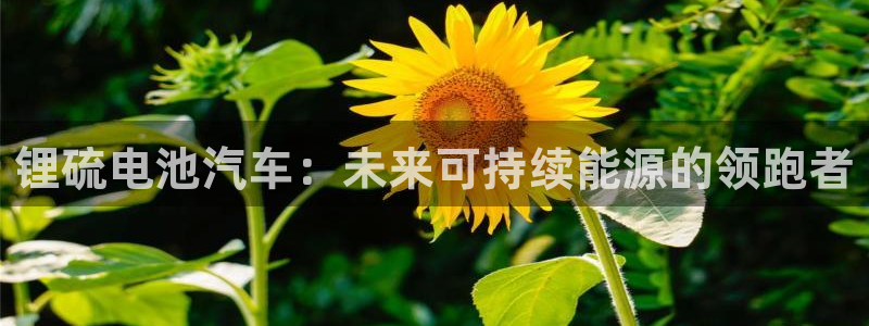 优发国际多少：锂硫电池汽车：未来可持续能源的领跑者