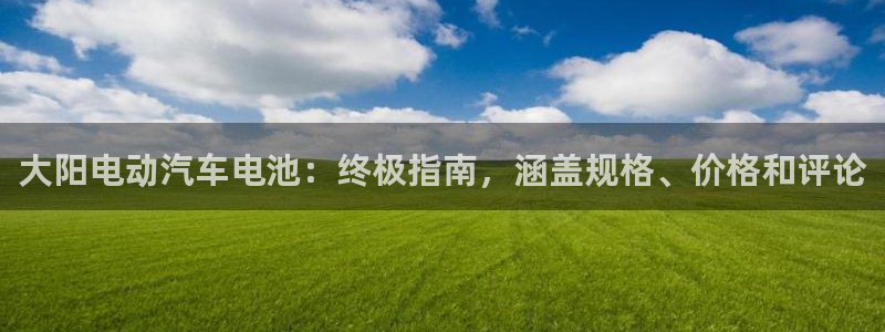 优发国际手机登录下载安装：大阳电动汽车电池：终极指南，涵盖规格、价格和评论
