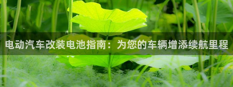 优发国际登录r8：电动汽车改装电池指南：为您的车辆增添续航里程
