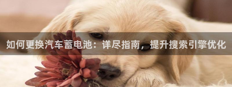 优发国际登录首页怎么设置：如何更换汽车蓄电池：详尽指南，提升搜索引擎优化